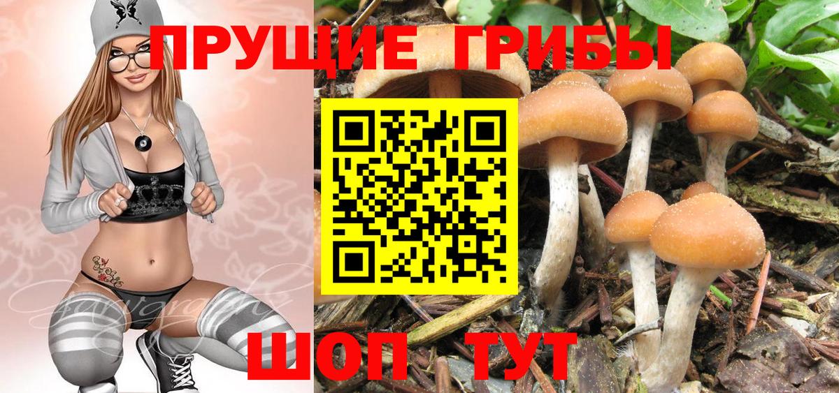 Псилоцибиновые грибы MAGIC MUSHROOMS Сыктывкар