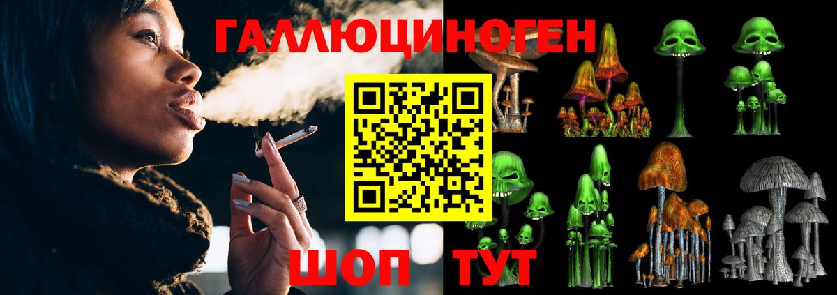 Сыктывкар  Псилоцибиновые грибы мицелий  Вход с VPN 